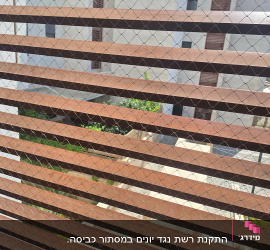 רשת נגד יונים על חלון עם תריסים חומים